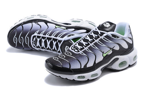 Air Max Plus TN1 ´´Seafoan``